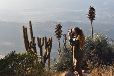 A student takes pictures of cacti in Chile.