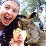 wallaby kisses