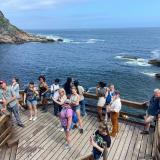 Cape Point, South Africa, suspension bridge end_end up quick hike_Anvitha Miryala.JPEG