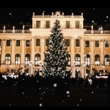 Christmas Tree with Snow