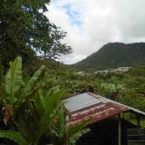 some mountains, a tin roof