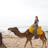 Nina Pollak riding a camel off the coast of Asilah, Morocco!