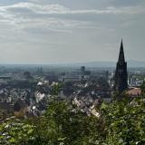 Landscape photo of Freiburg, trees and faraway buildings