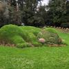 A picture of a sleeping beast made out of bushes in the Jardin des Plantes