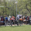 Fair at Vondelpark