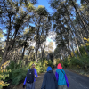 3 girls walking along the road surrounded by trees