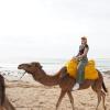 Nina Pollak riding a camel off the coast of Asilah, Morocco!