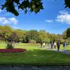 View in central St. Stephen’s Green