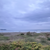 Kamakura Yuigahama Beach pictured from the boardwalk, nearing dusk. The boardwalk is lined with yellow and pink flowers, then sand more in the distance.