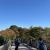 Pathway to Kanda University, with autumn foliage