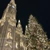 The city hall looms in the background of the giant Rathaus Christmas Tree