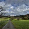 An open plain with a road dividing it and trees in the background
