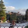 A view of the Alhambra from a mirador