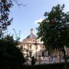 Photo of the Real Basílica de Nuestra Señora de los Desamparados from an orange tree courtyard across the plaza during a sunny day
