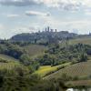 View from Fattoria Poggio Alloro Winery
