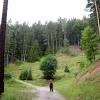 Man standing in front of trees