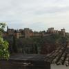 The Alhambra viewed from afar