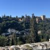 On top of a hill and surrounded by trees lies the Alhambra