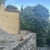 A cat sitting on a stone ledge in front of a yellow house