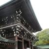 Meji Shrine-Tokyo