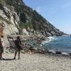 Beachfront from Cinque Terre
