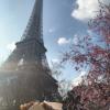 A crepe at the Eiffel Tower