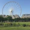 Bracing the heat to enjoy the view at Les Jardins de Tuileries