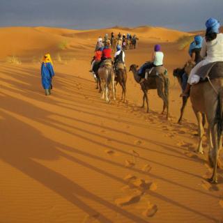 students riding camels in the desert