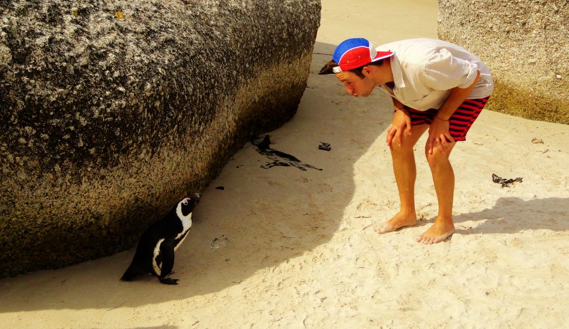 a student poses for a photo with a penguin on the beach in Cape Town