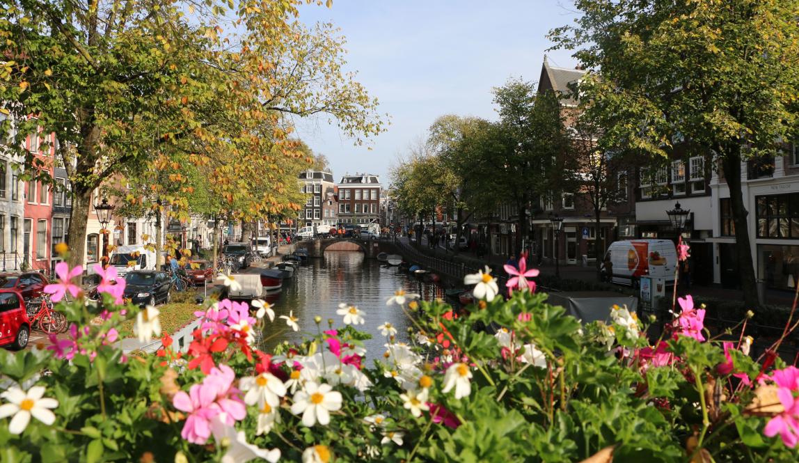 flowers in front of an Amsterdam canal