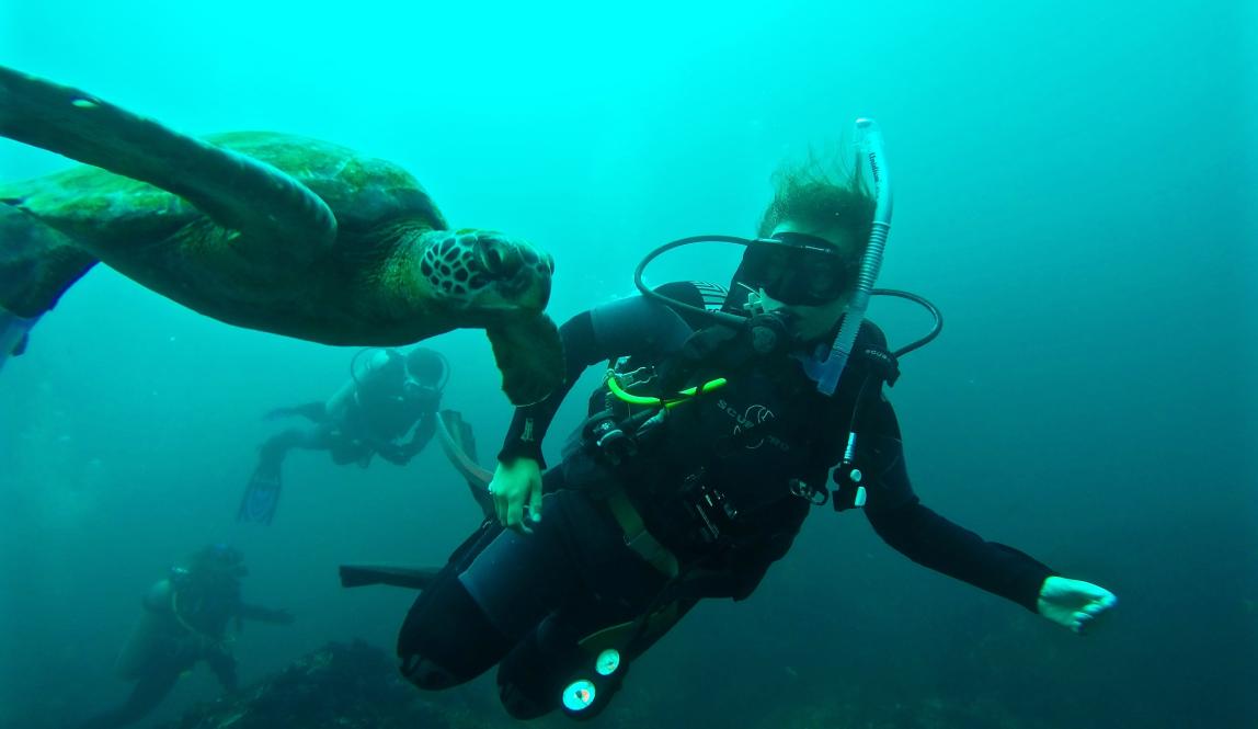 a student scuba diving next to a sea turtle