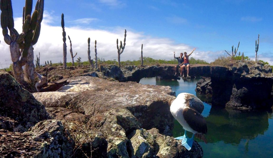 students pose for a photo in the background of where a blue footed booby is taking a nap