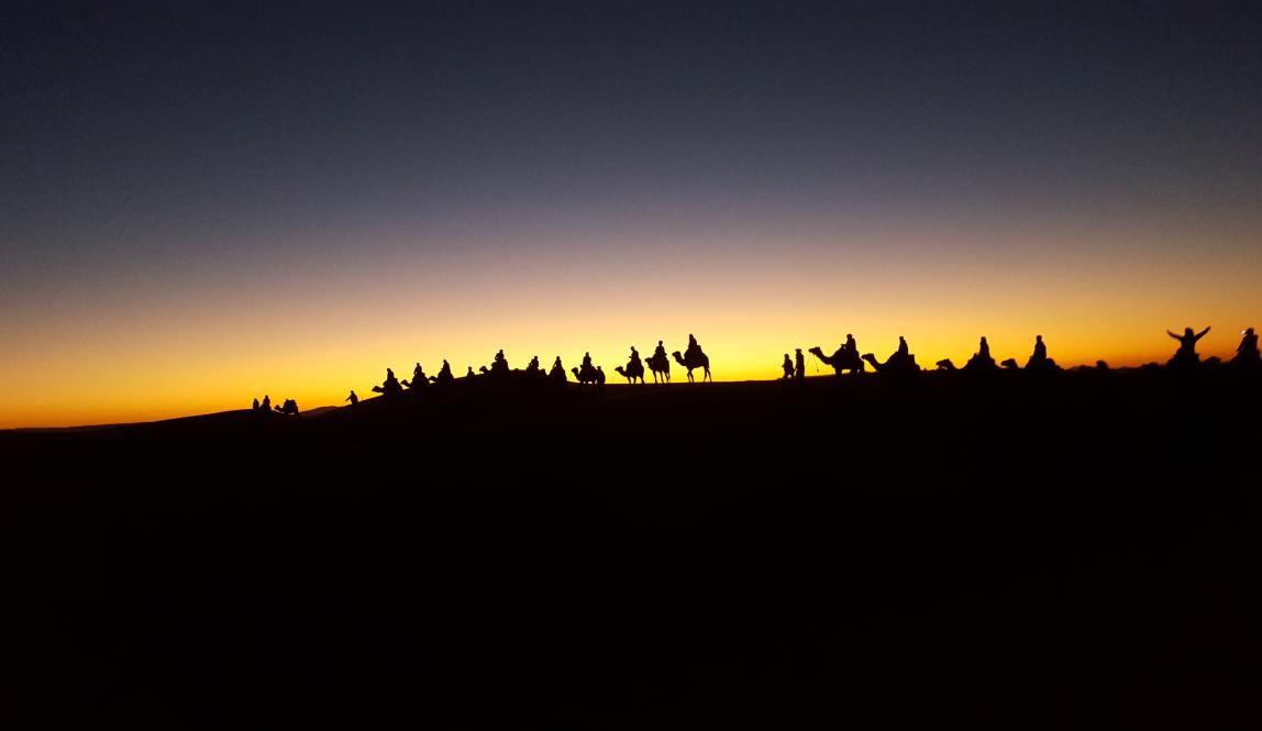 students riding camels in the Sahara Desert in Morocco during sunset