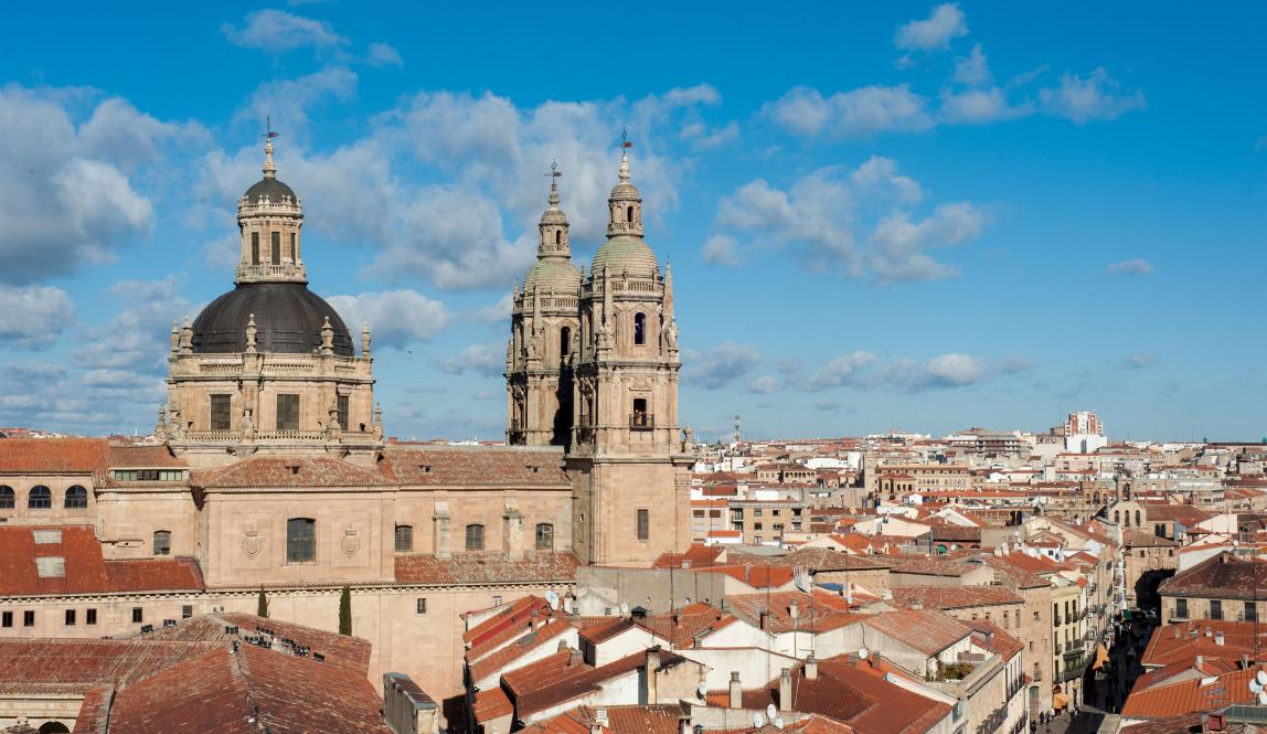 the New Cathedral of Salamanca