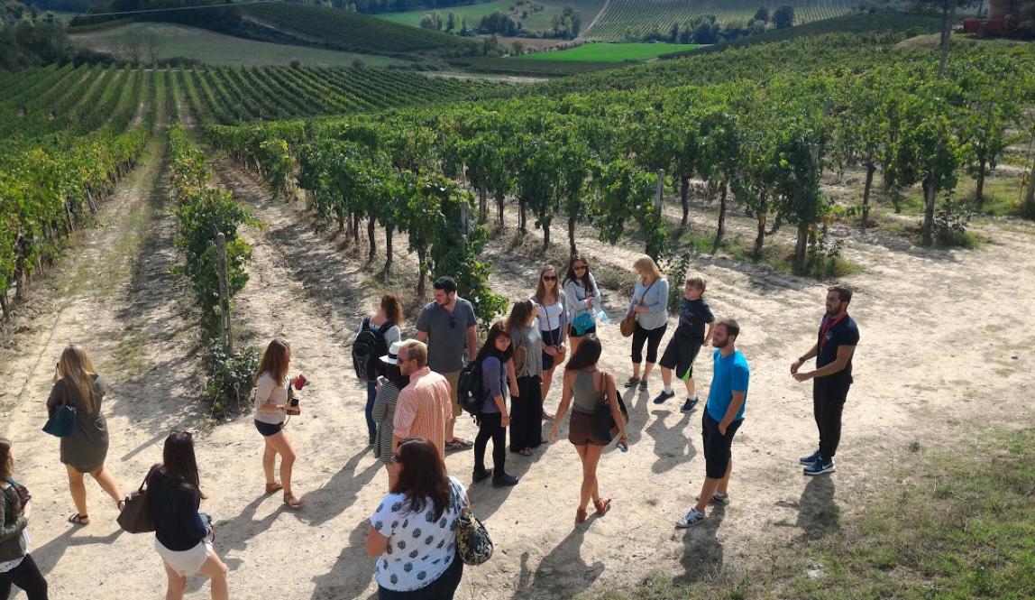 a group of students on a tour in a Siena vineyard