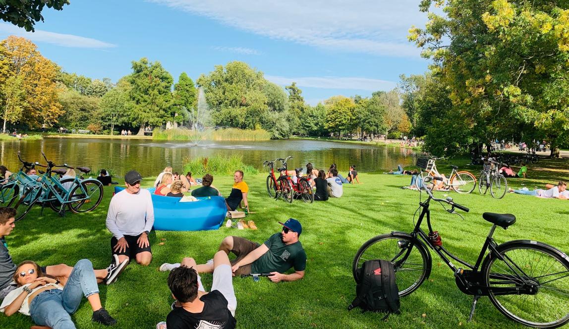 a park in Amsterdam with people and bikes resting on the lawn