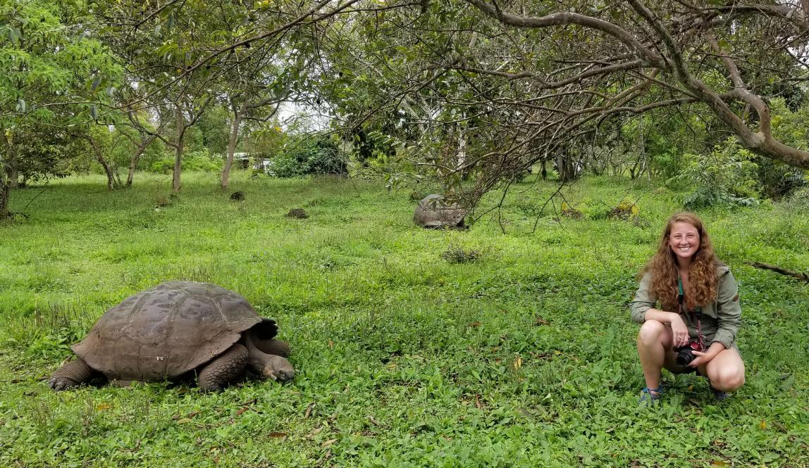 a student distancing herself from a giant Galápagos tortoise for a photo