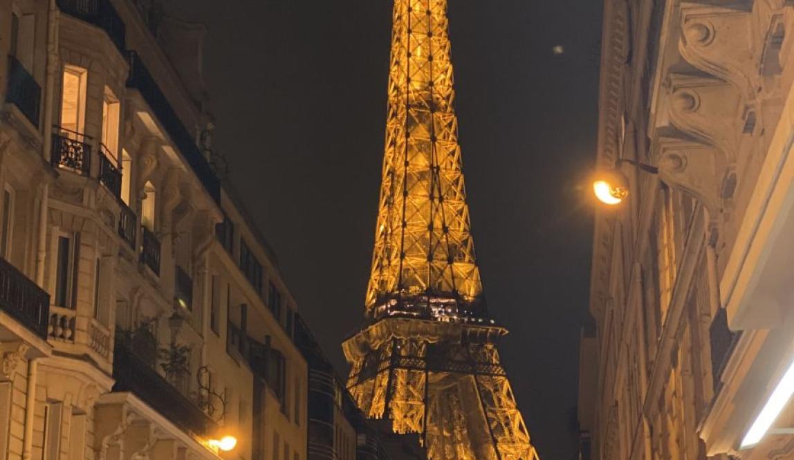 A Broke Girl's Guide to Paris 1