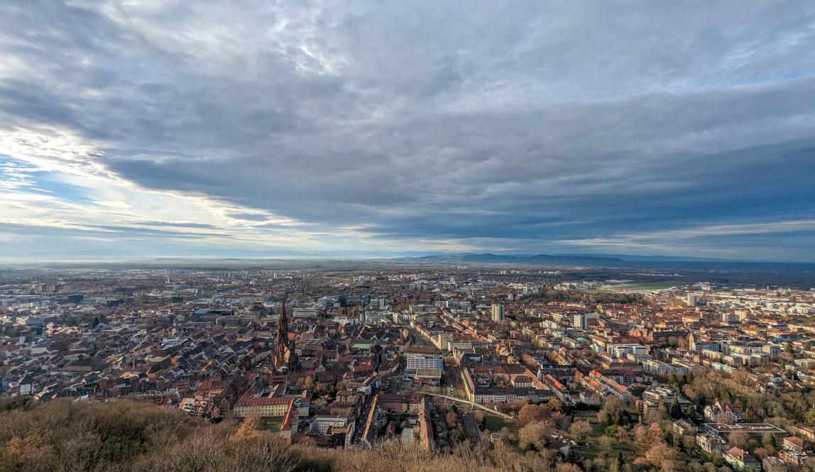 View of Freiburg from high up above, mountains in the background