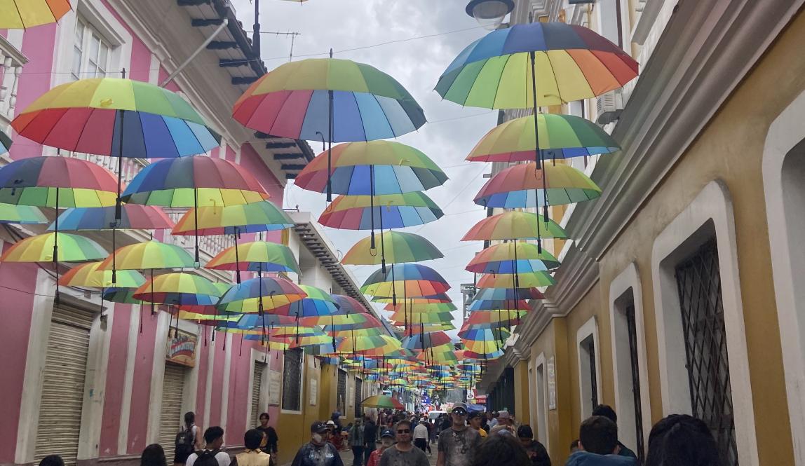 Umbrellas in Guaranda