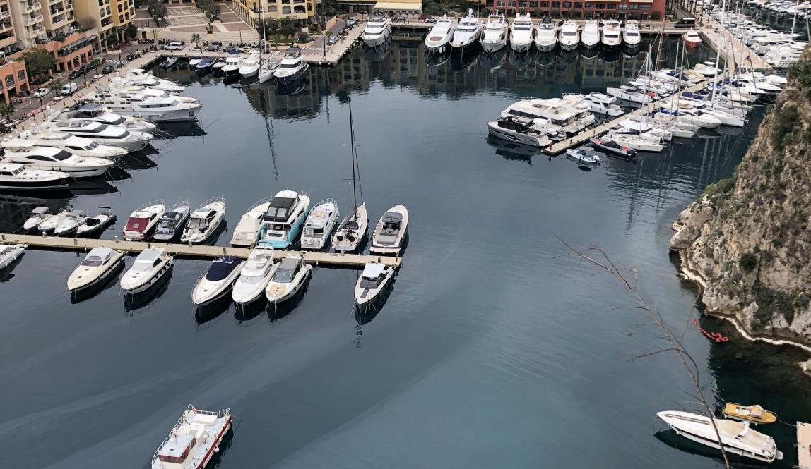A picture of the view of the port and the boats from Jardin Saint-Martin in Monaco