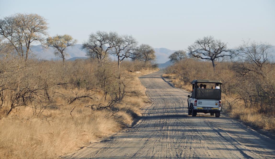 Students drive through Kruger National Park in South Africa.