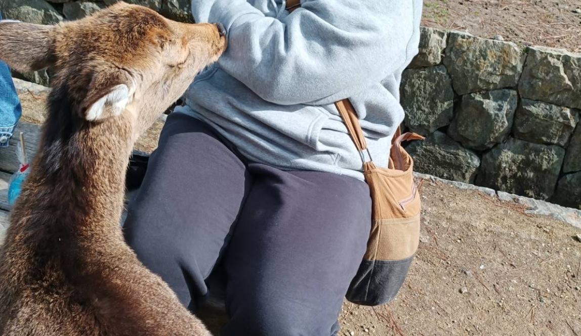 Author, Macks, with a deer in Nara.