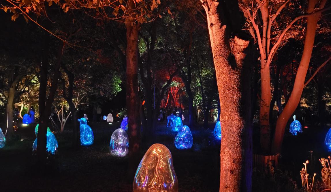 Picture of teamLab Botanical Gardens in Osaka, there are egg-shaped figured that are lit in various colors.