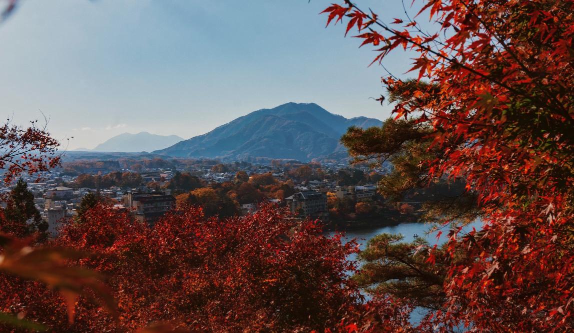 Mount Fugi is centered between tree red leaves.