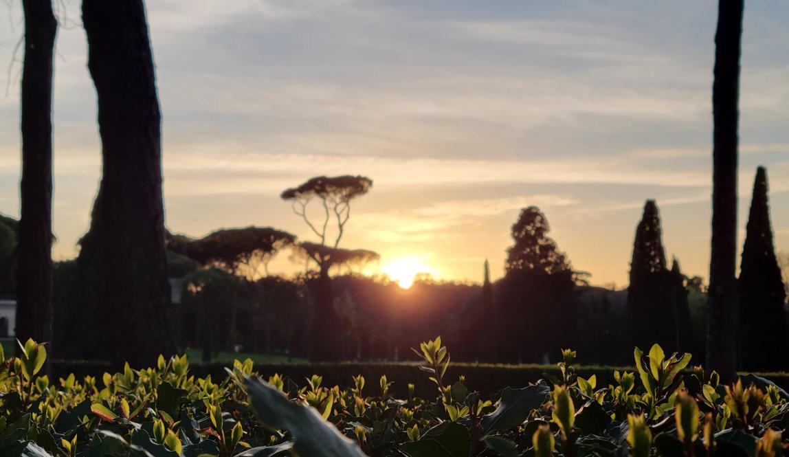 Shown is a sunset in Villa Borghese, one of Rome's famous parks