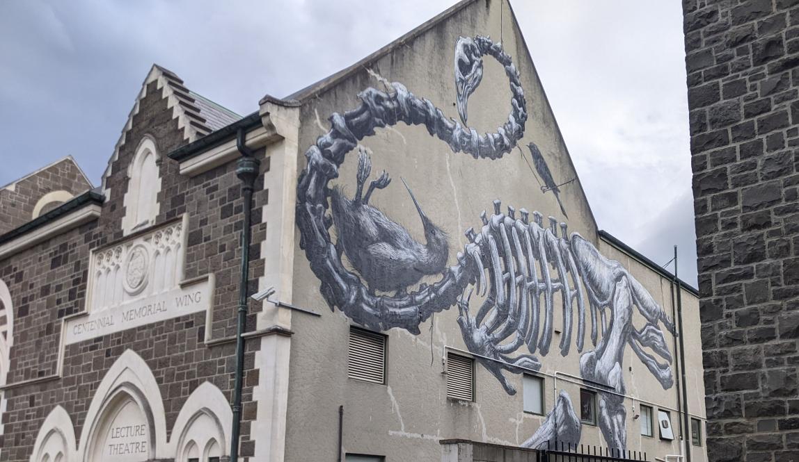 Mural on the side of a stone building featuring the skeleton of a moa cradling a kiwi bird