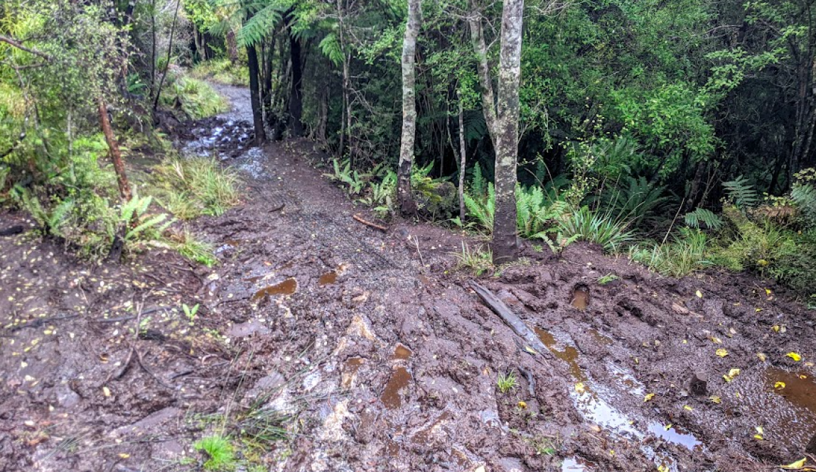 A very muddy section of track with trees on each side