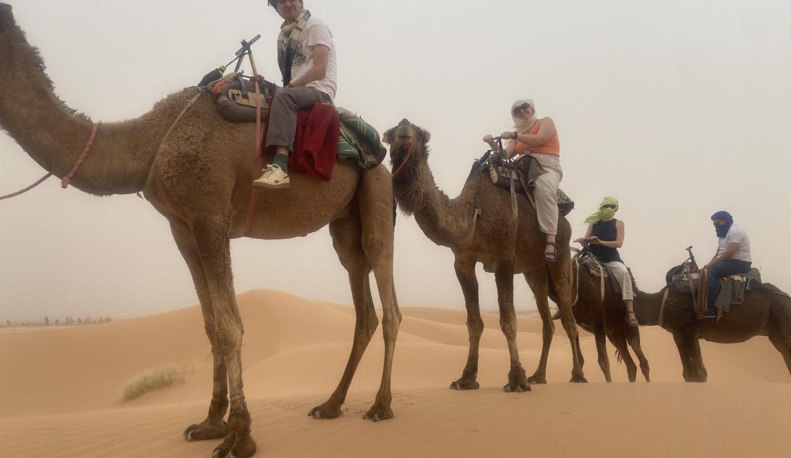 Four people riding Camels