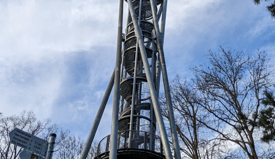 Tower made of metal poles swirling around to a metal deck with a fence around it, the tower is surround by trees without leaves at the base
